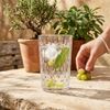 COPO_ALTO_BIO_PLAST_VANITY_ARIA_CLEAR_480ML_GUZZINI -4-